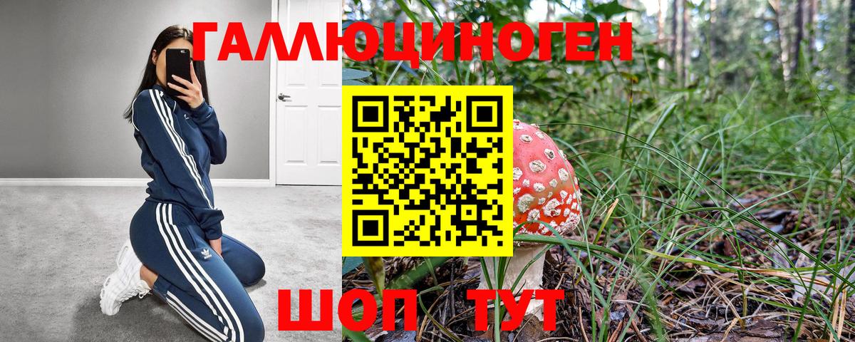 что такое   Галлюциногенные грибы MAGIC MUSHROOMS  Мелеуз  Вход с VPN  Галлюциногенные грибы GOLDEN TEACHER 